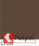 LYON.webp